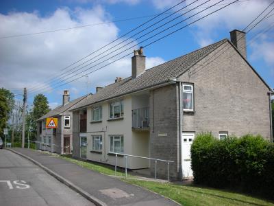 Front view